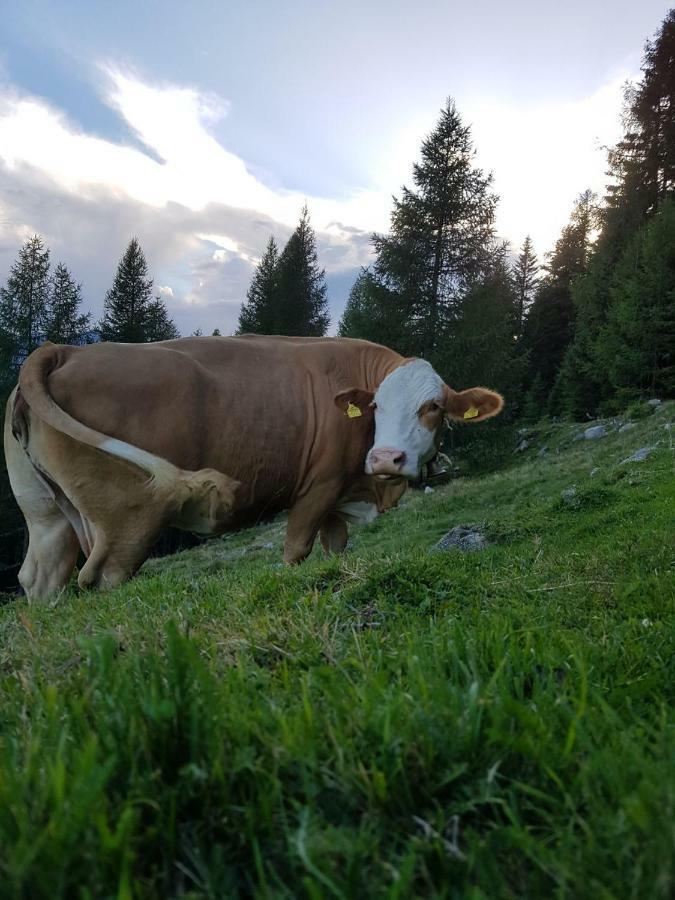 Ferienwohnung Am Bauernhof Zechner Heidi Flattach Esterno foto
